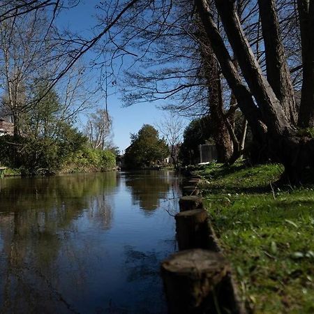 Surrey Hills Escape: Riverside Walks & Quick Links Godalming Exteriör bild